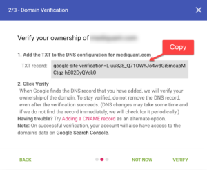Postmaster tool verify domain copy