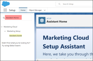 Salesforce Marketing Cloud Marketing Cloud Setup Assistant