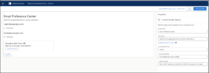 marketing cloud email preference page content display options