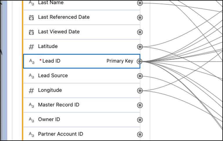 Data Cloud Lead ID primary key