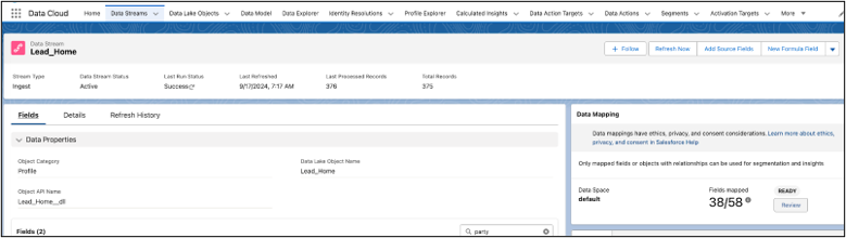 Data Stream - Lead Data Mapping 1